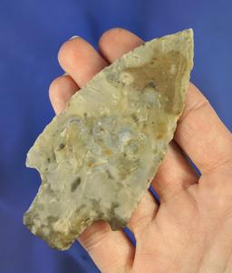 Uniquely beveled 3 13/16" Late Adena found in Marion County Ohio made from Flint Ridge Flint.