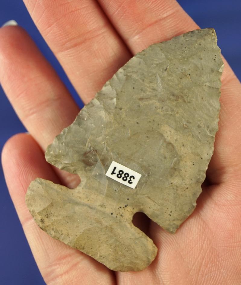 Archaic Thebes Bevel that is thin and well patinated found in Montgomery County Ohio..