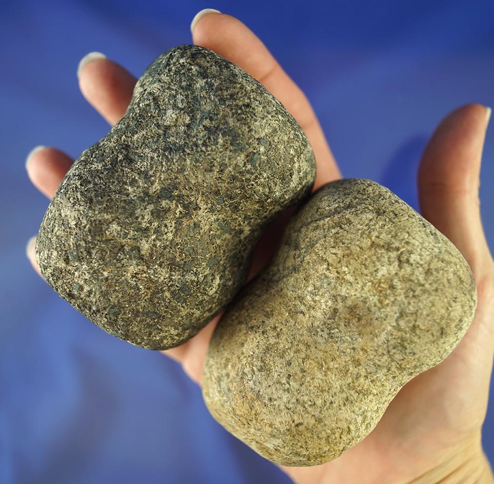 Pair of well styled 3/4 Grooved Hammerstones. Largest is 2 3/4". Found in Michigan