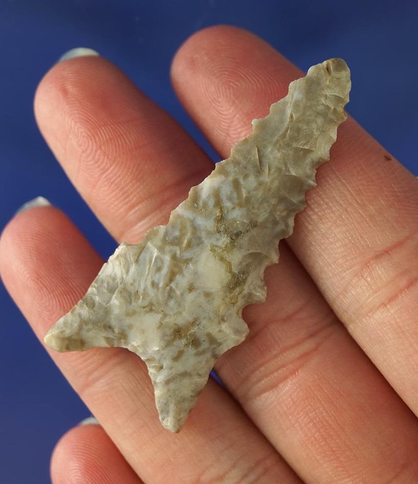 2 1/16" Dalton point found in Arkansas.