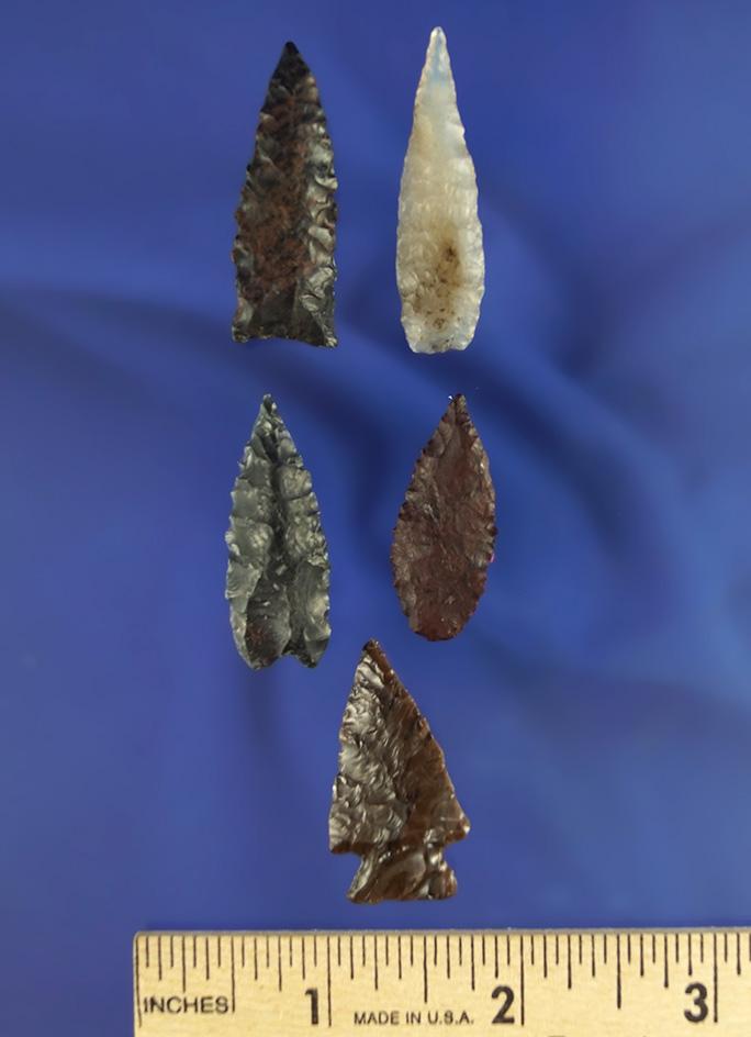 Excellent set of five very nice arrowheads found in Oregon near the Columbia River.