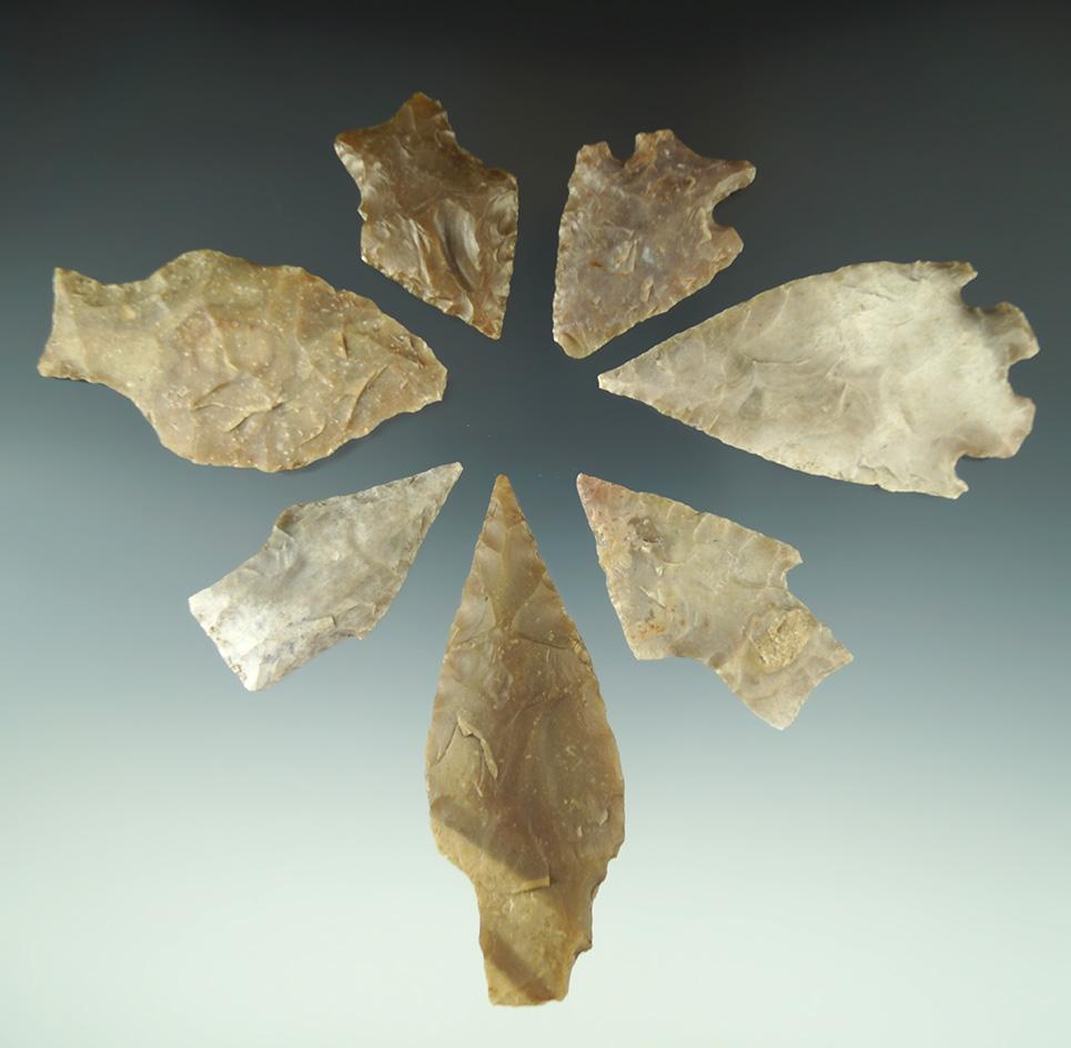 Set of seven assorted arrowheads found in Texas, largest is 3 1/4".