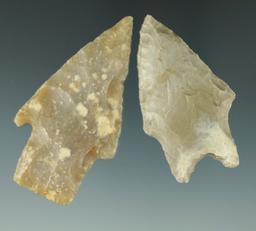 Pair of Texas arrowheads, largest is 2 3/8".