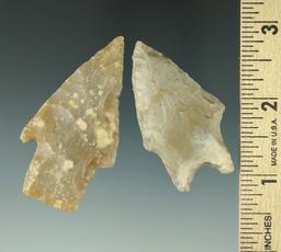 Pair of Texas arrowheads, largest is 2 3/8".