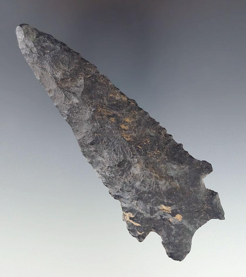 Large for type! 4 5/16" Coshocton Flint Bifurcate found in Jefferson Township, Montgomery Co., Ohio.