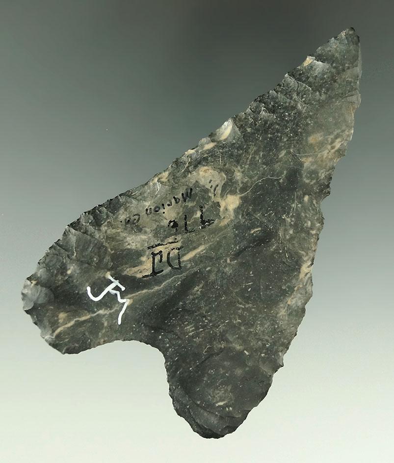 Very unique 3 15/16" Coshocton Flint Basal Notch Knife found in Marion Co., Ohio.