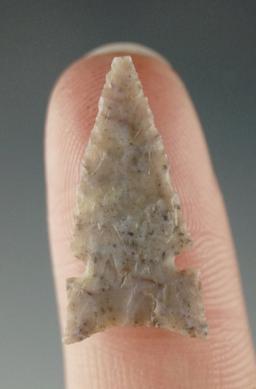 1" Washita sidenotch made from attractive material found in Texas. Ex. Charlie Shewey collection.