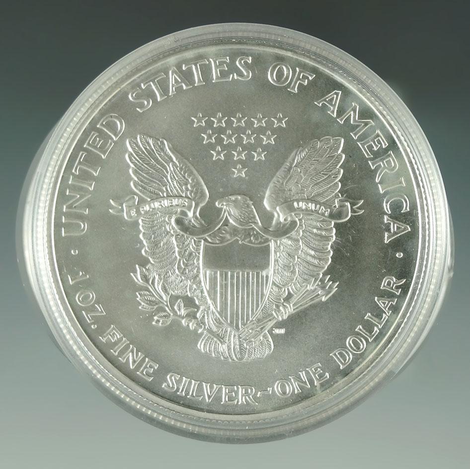 2000 Colorized American Silver Eagle BU