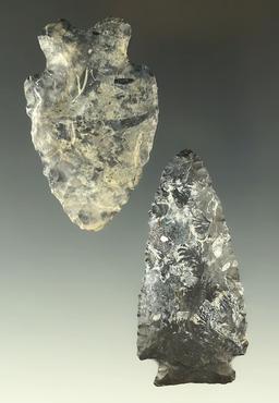 Pair of Coshocton Flint arrowheads found in Ohio, largest is 2 1/2". Ex. Dr. Jim Mills collection.