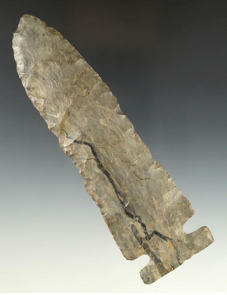 5 3/4" Archaic Big Sandy sidenotch - beautiful Coshocton Flint - Auglaize River area,  Ohio.  COA.