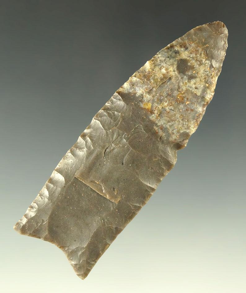 Pictured! 3 1/4" Paleo Fluted Clovis  - Kentucky. Jackson and Davis G-9 COA's. Ex. Museum.