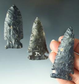 Set of three Coshocton Flint Archaic points, largest is 2 11/16". Ex. Dr. Jim Mills.
