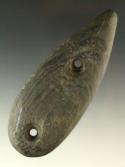 4 3/4" Tallied Glacial Kame Teardrop Gorget, found in Van Wert Co., Ohio. Ex. Fredit, Weaver.