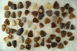 Large group of thumb scrapers, most are knife River Flint found in the Dakotas. Largest is 1 1/8".