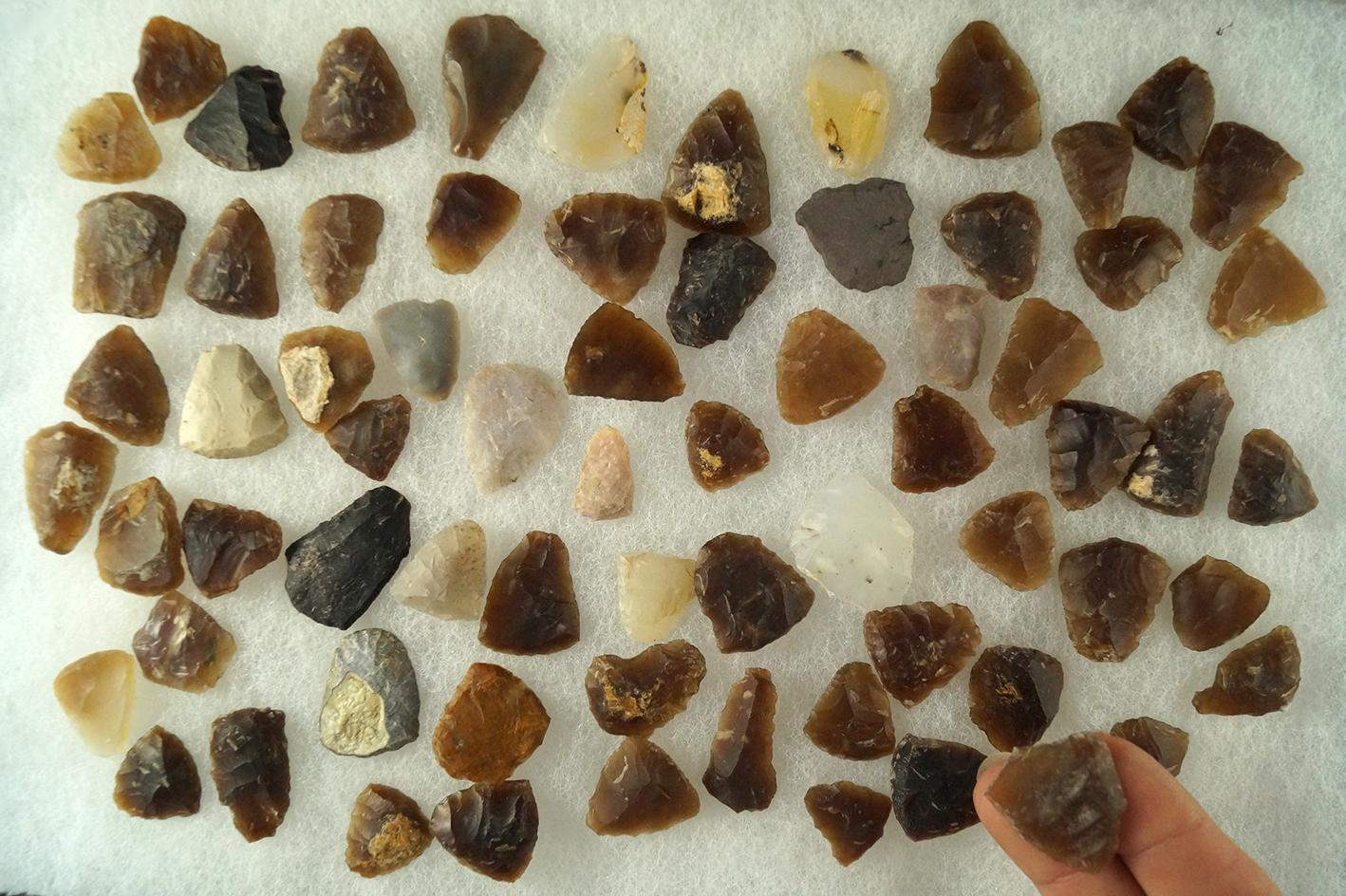 Large group of thumb scrapers, most are knife River Flint found in the Dakotas. Largest is 1 1/8".