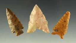 Set of three Nebraska arrowheads, largest is 1 5/16".