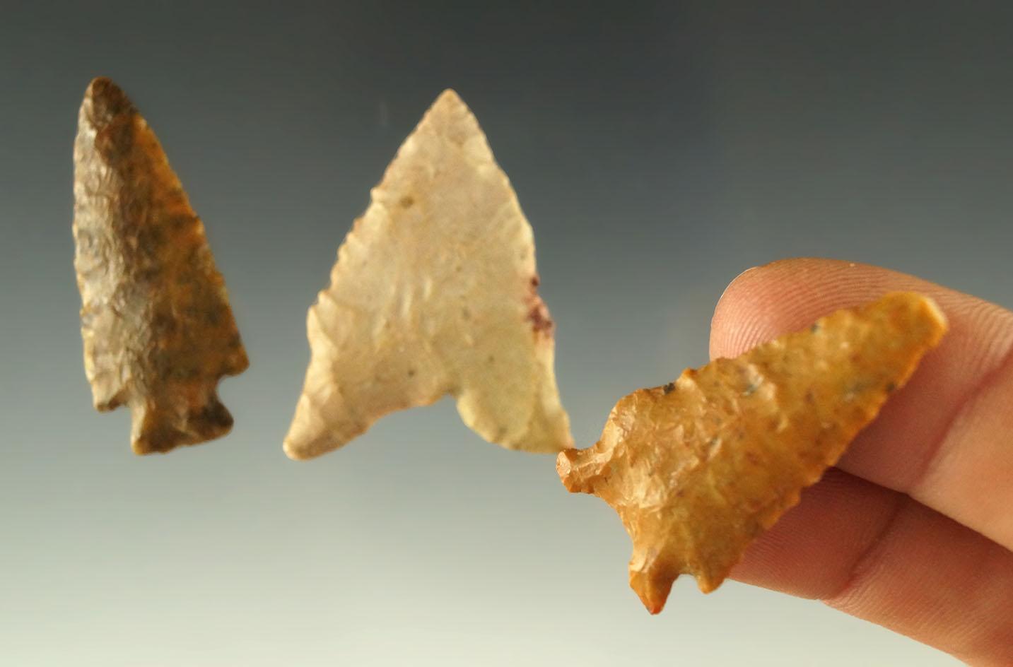 Set of three Nebraska arrowheads, largest is 1 5/16".