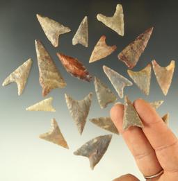 Set of 20 assorted Neolithic African arrowheads found in the northern Sahara desert region.