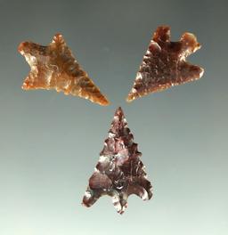 Set of three Columbia River Gempoints found in Oregon, largest is 13/16".