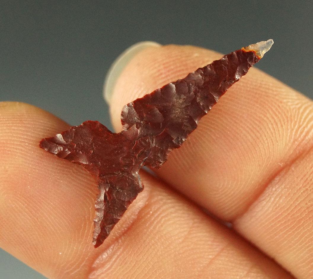 1 1/8" Awatovi Sidenotch point made from maroon and clear agate found in Mesa Co. Colorado.