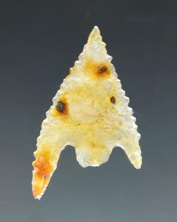 Ex. Museum! Pictured - Nice! 1 3/16" Serrated and very thin Gunther - Oregon - translucent agate.
