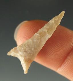 Ex. Museum! 1 1/16" Starr point found in Texas from the Charlie Shewey collection.