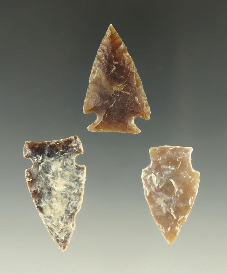 Set of three heavily patinated arrowheads found in South Dakota, largest is 1 9/16".