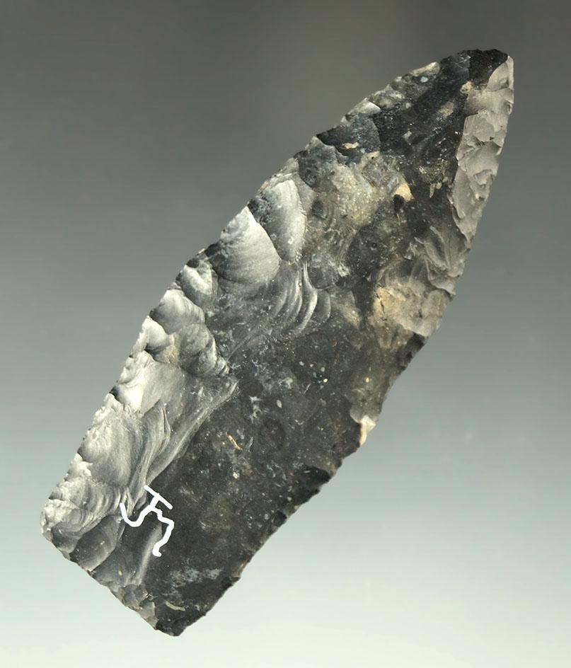 2 15/16" Coshocton Flint Paleo Lanceolate found in Franklin Co., Ohio.