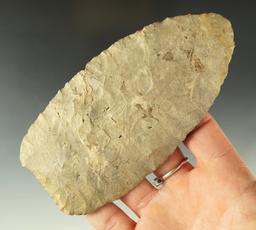 Thin for size and very well flaked 4 and 7/8" Bayport chert Blade found in Delaware Co., Ohio.