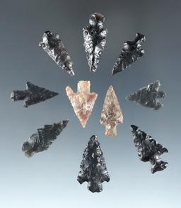 Set of 10 assorted arrowheads found near Fort Rock Oregon, largest is 7/8".