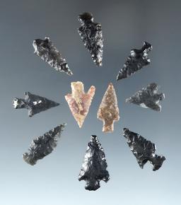 Set of 10 assorted arrowheads found near Fort Rock Oregon, largest is 7/8".