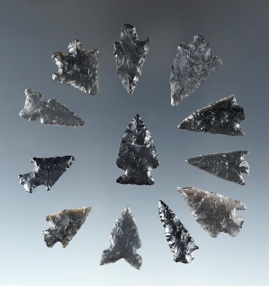 Set of 12 assorted Obsidian Arrowheads found near Fort Rock Oregon, largest is 7/8".