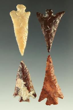 Set of four Columbia Plateau arrowheads found near the Columbia River, largest is 1 1/8".