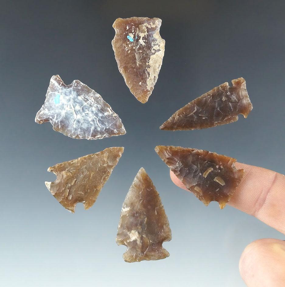 Set of six assorted arrowheads found in the Dakotas, most are Knife  River Flint. Largest is 1 9/16"