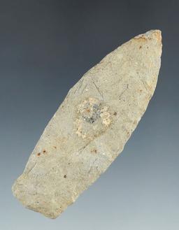 3" Paleo Lanceolate with nice a ground lower edges found in Michigan.