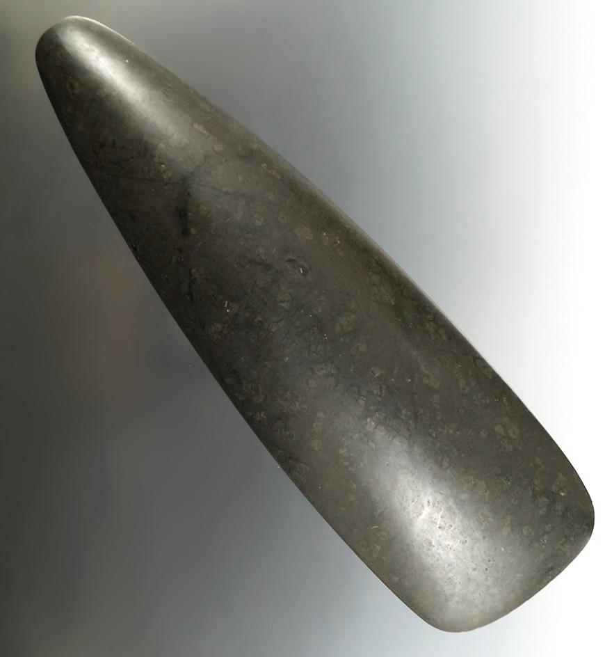 8 3/4" Long Tapered Poll Taino Culture Celt that is made from very highly polished hardstone.