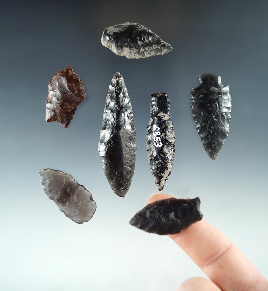 Set of seven arrowheads found in Oregon, largest is 2 5/16".