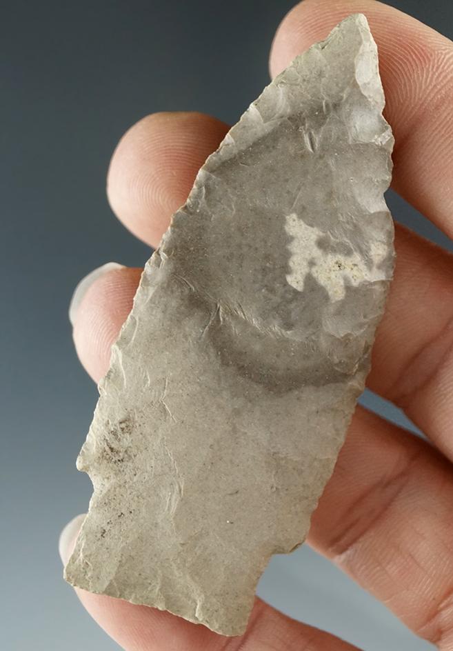 Thin and nicely flaked 2 11/16" Paleo Stemmed Lanceolate found in Crawford Co., Ohio.