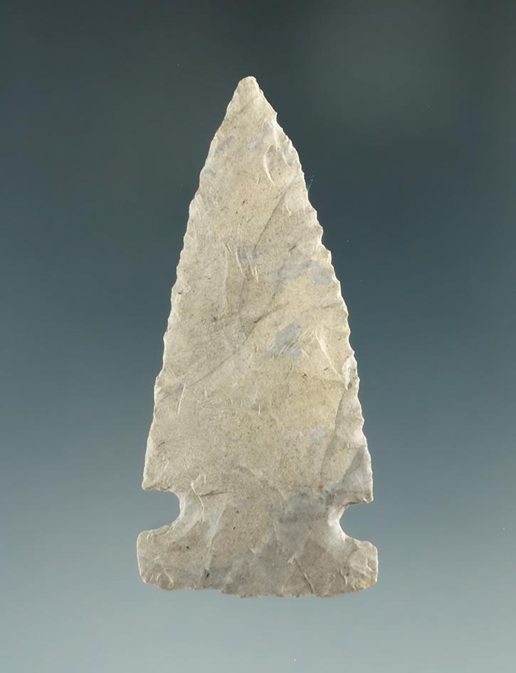 Exceptionally thin 2 1/4" Sidenotch found by James Brown on April 2, 1984 in Erie Co., Ohio.