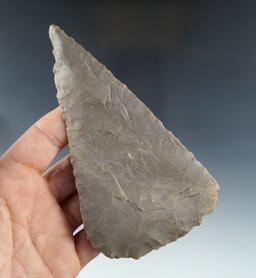 Large and thin 4 3/4" Archaic Beveled Blade found in Kentucky. Ex. Rose Nelson Collection.