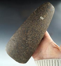 Large 7 1/4" Hardstone Adze found in Ohio. Small amount of restoration to one corner of bit.