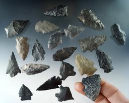 Set of 20 assorted arrowheads found in Nevada, largest is 1 3/4".