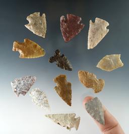 Set of 12 assorted arrowheads found in Colorado, largest is 1 1/2".