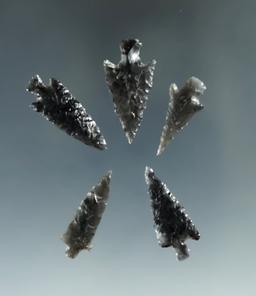 Set of five assorted obsidian arrowheads found in Oregon, largest is 1 1/8".