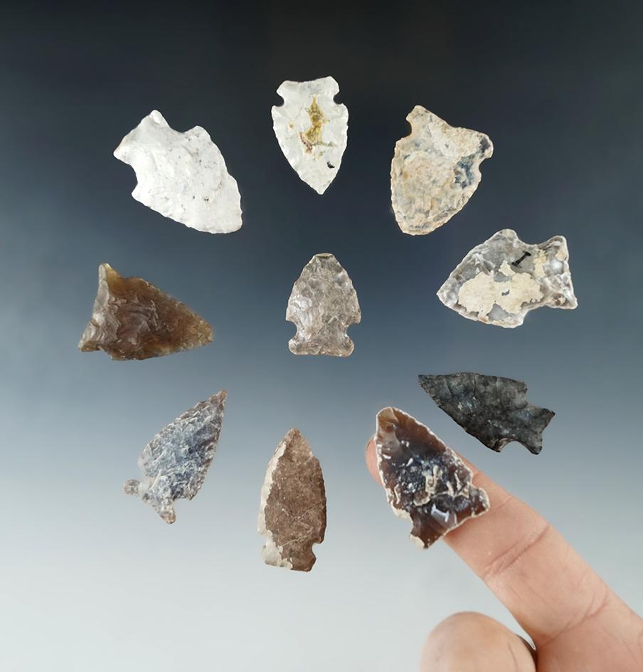 Group of 10 Assorted Arrowheads found in North Dakota, largest is 1 3/8"
