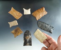 Set of eight paleo bases found in Kentucky and Tennessee, largest is 2 5/8".