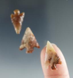 Set of 3 Columbia River Gempoints found near the Wakemap Mound, largest is 13/16".