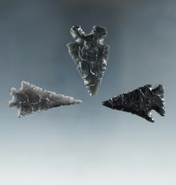 Set of 3 Obsidian arrowheads found in Lake Co., Oregon, largest is 1 5/8". Ex. Hank Casiday.