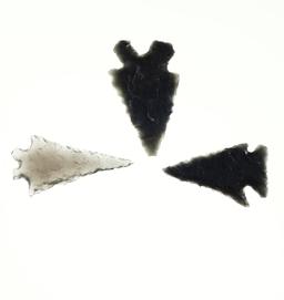 Set of 3 Obsidian arrowheads found in Lake Co., Oregon, largest is 1 5/8". Ex. Hank Casiday.