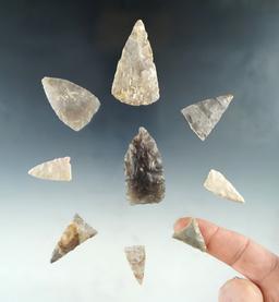 Set of nine Triangular Arrowheads found in the U. S., Largest is 2".